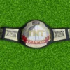 AEW TNT Championship Replica Title Belt