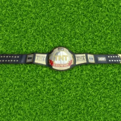 AEW TNT Championship Replica Title Belt