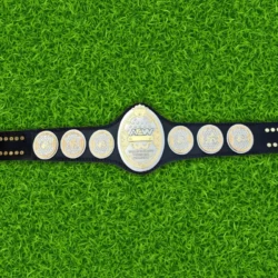 AEW Women's World Championship Replica Belt