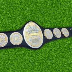 AEW Women's World Championship Replica Belt