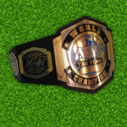 AEW World Tag Team Championship Replica Belt