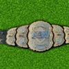 AEW World Wrestling Championship CNC Belt