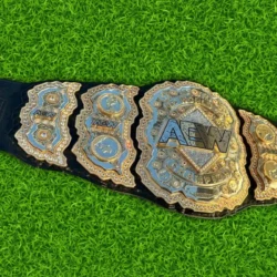 AEW World Wrestling Championship CNC Belt