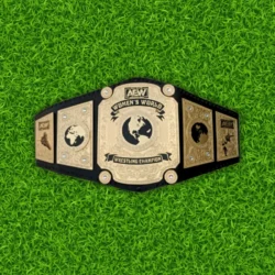 Aew Women’s World Championship Belt Replica