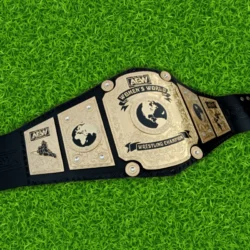 Aew Women’s World Championship Belt Replica