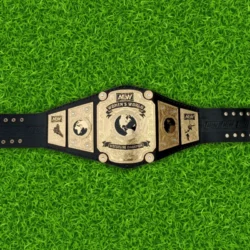 Aew Women’s World Championship Belt Replica