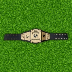 Aew Women’s World Championship Belt Replica