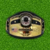 Domed Globe NWA World Heavyweight Wrestling Belt