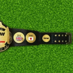 ECW Television Champion Championship Replica Belt