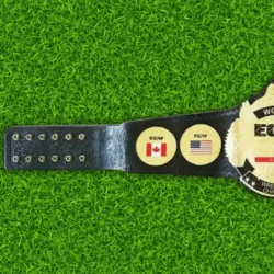 ECW Television Champion Championship Replica Belt