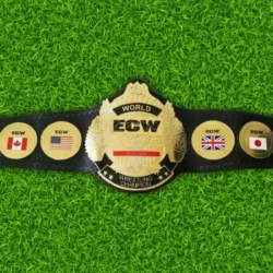 ECW Television Champion Championship Replica Belt