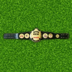 ECW Television Champion Championship Replica Belt