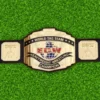 ECW World Tag Team Championship Belt