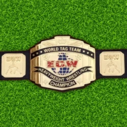 ECW World Tag Team Championship Belt