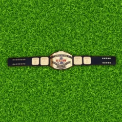 ECW World Tag Team Championship Belt