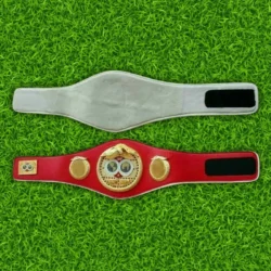 IBF Boxing Championship Replica Belt