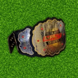 IMPACT Fighting MMA Championship Belt