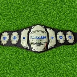 Impact Knockout Version Wrestling Championship Belt