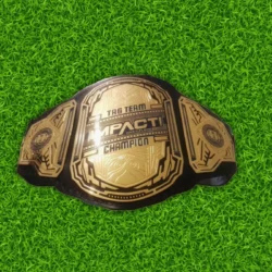 Impact Tag Team World Championship Belt