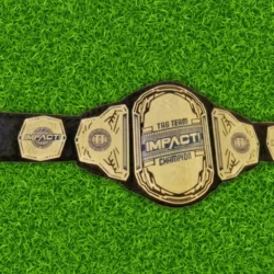 Impact Tag Team World Championship Belt