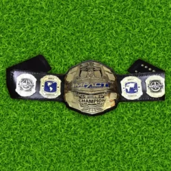 Impact World Championship Heavyweight Wrestling Belt