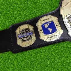 Impact World Championship Heavyweight Wrestling Belt