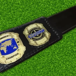 Impact World Championship Heavyweight Wrestling Belt