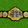 NEW TNA Wrestling Heavyweight Championship Belt