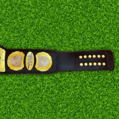 NEW TNA Wrestling Heavyweight Championship Belt