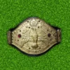 NWA Classy Freddie Blassie Legacy Tribute Champion Belt