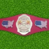 NWA Continental USA Heavyweight Wrestling Belt