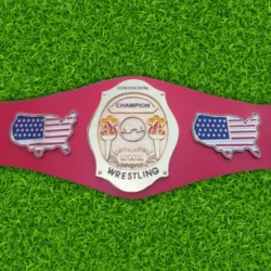 NWA Continental USA Heavyweight Wrestling Belt