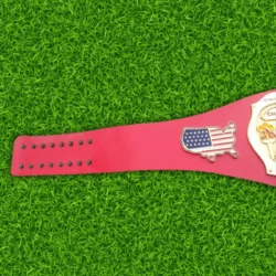 NWA Continental USA Heavyweight Wrestling Belt