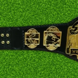 NWA Tag Team Wrestling Championship Belt