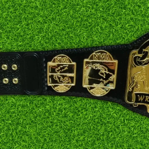 NWA Tag Team Wrestling Championship Belt