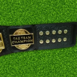 NWA Tag Team Wrestling Championship Belt