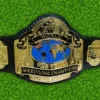 NWA Tag Team Wrestling Championship Belt