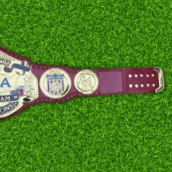 NWA USA Tag Team Wrestling Championship Belt