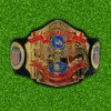 NWA United States Heavyweight Championship Belt