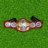 NWA United States Heavyweight Championship Leather Belt