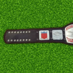 NWA United States Tag Team Wrestling Zinc Championship Belt