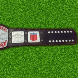 NWA United States Tag Team Wrestling Zinc Championship Belt