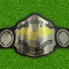 NWA Universal Heavyweight Championship Belt