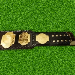 NWA world tag team championship belts