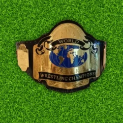 NWA world tag team championship belts