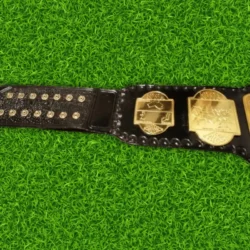 NWA world tag team championship belts