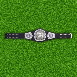 NXT Cruiser weight Championship Replica Belt