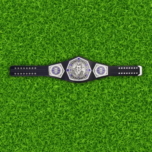 NXT Cruiser weight Championship Replica Belt