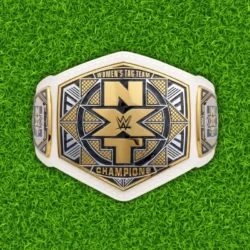 NXT Women's Tag Team Championship Replica Belt