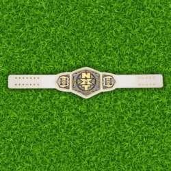 NXT Women's Tag Team Championship Replica Belt